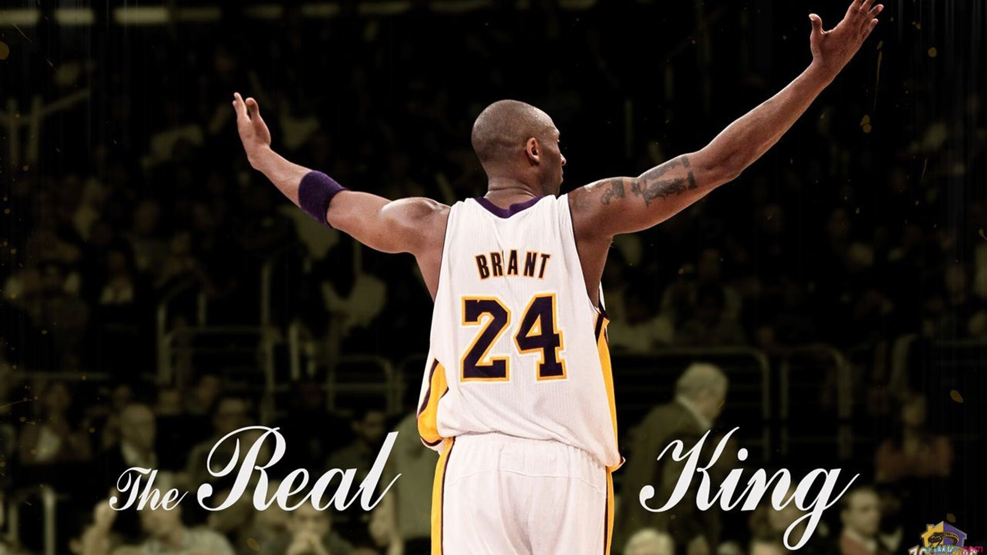 中国篮球教练员战术执行力提升路径探索，篮球教练技能展示